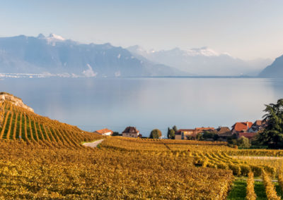 GEFISWISS closing Viager SWISS SCmPC