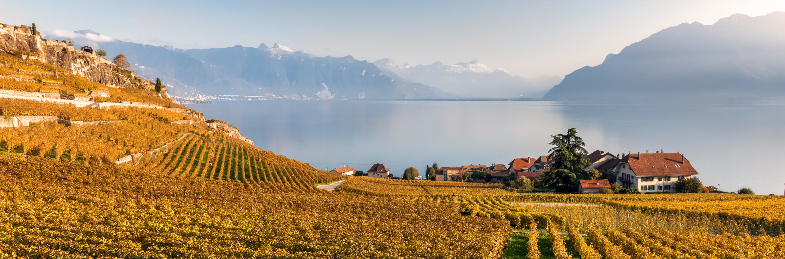 GEFISWISS closing Viager SWISS SCmPC