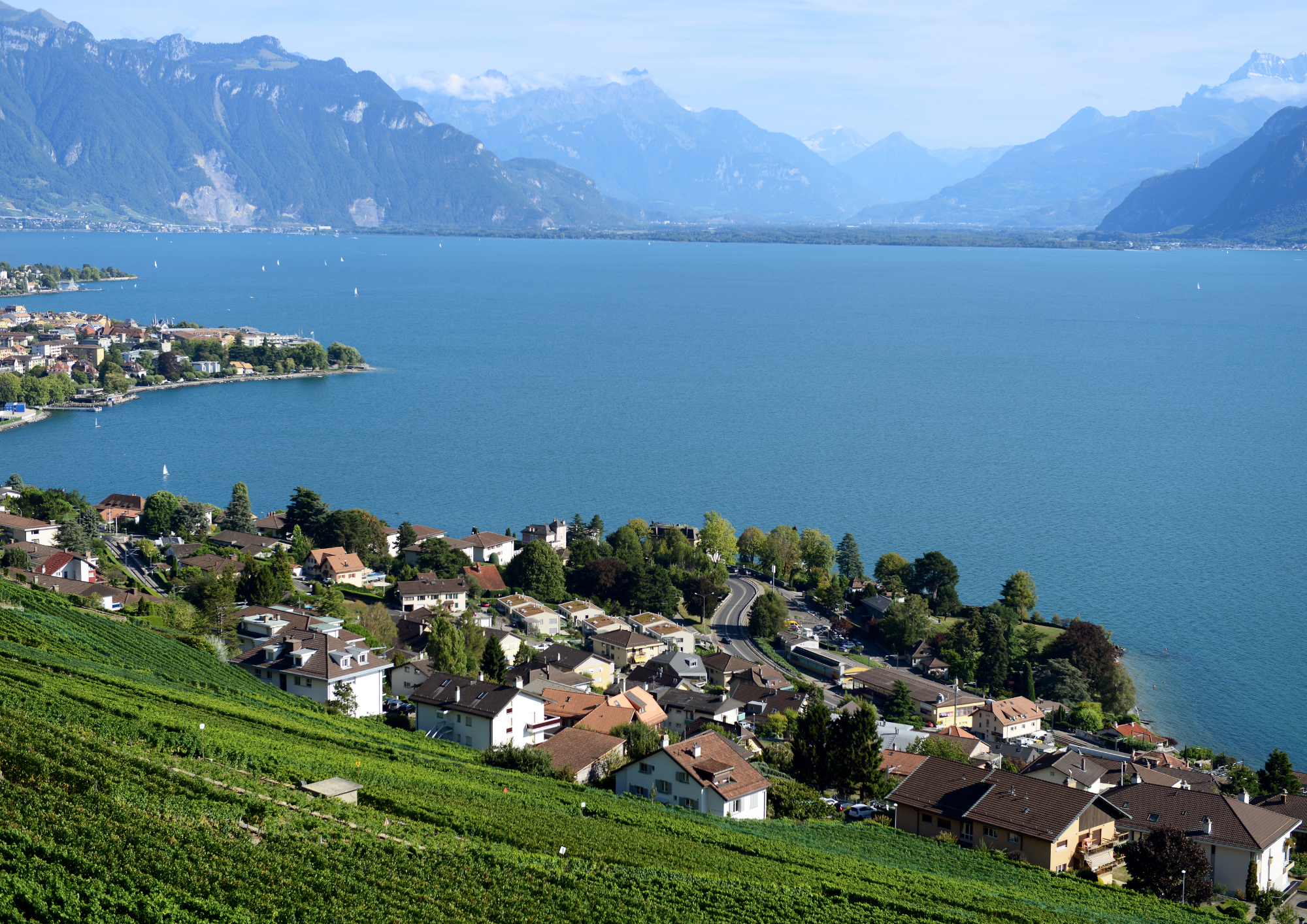 Viager Swiss SCmPC a bouclé sa période initiale de souscription
